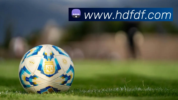 巅峰国际服务体系